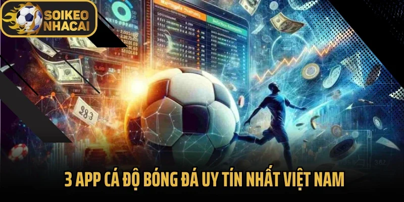3 App Cá Độ Bóng Đá Uy Tín Nhất Việt Nam – Uy Tín, Xanh Chín