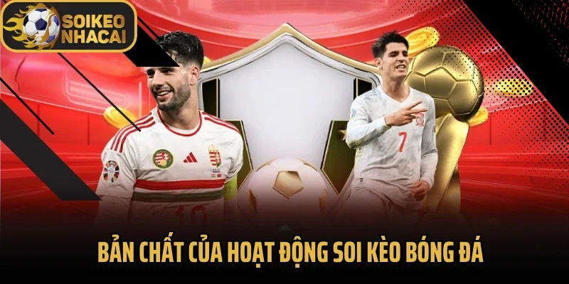 Bản chất của hoạt động soi kèo bóng đá