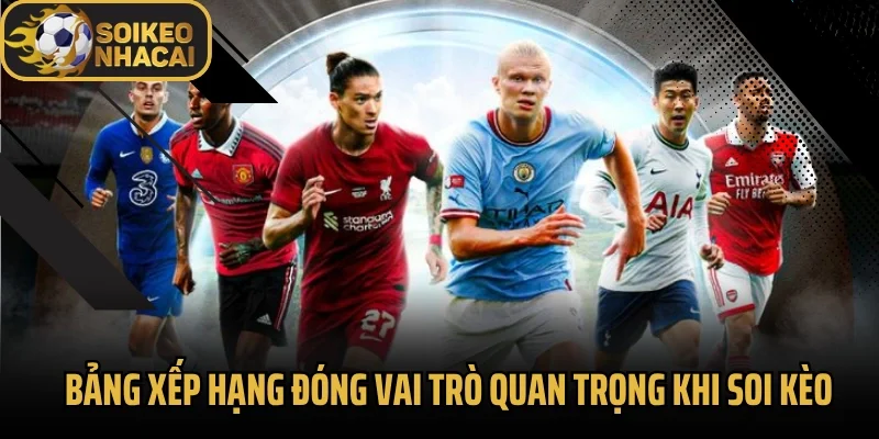 Bảng xếp hạng đóng vai trò quan trọng khi soi kèo