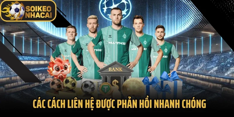 Các cách liên hệ được phản hồi nhanh chóng