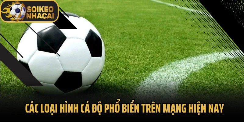 Các loại hình cá độ phổ biến trên mạng hiện nay