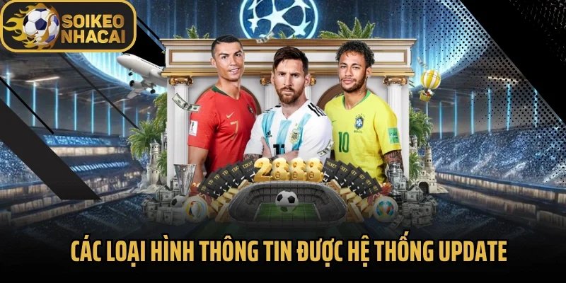 Các loại hình thông tin được hệ thống update