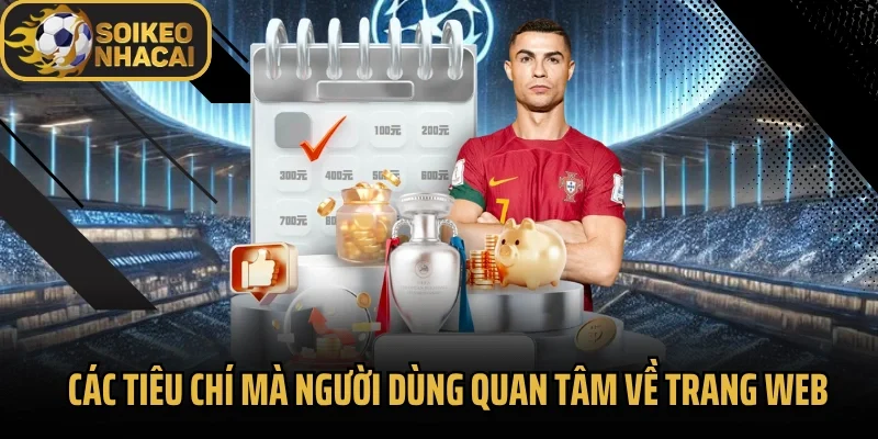 Các tiêu chí mà người dùng quan tâm về trang web