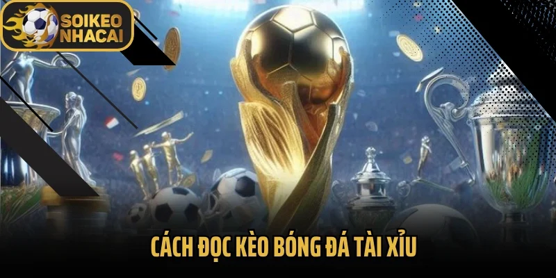 Cách Đọc Kèo Bóng Đá Tài Xỉu