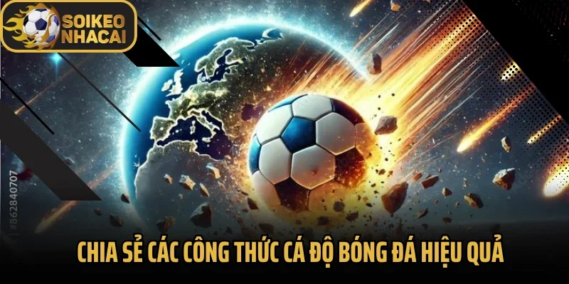 Chia sẻ các công thức cá độ bóng đá hiệu quả