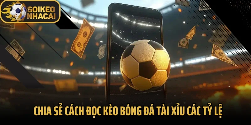 Chia sẻ cách đọc kèo bóng đá tài xỉu các tỷ lệ