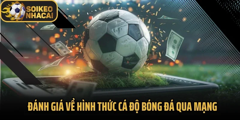 Đánh giá về hình thức cá độ bóng đá qua mạng