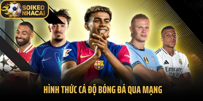 Hình Thức Cá Độ Bóng Đá Qua Mạng