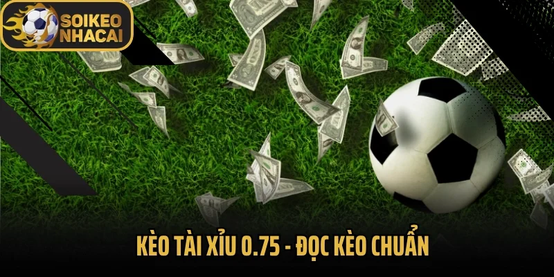 Kèo 0.75 Tài Xỉu  – Đọc Kèo Chuẩn, Ăn Tiền Dễ Hơn Bạn Nghĩ