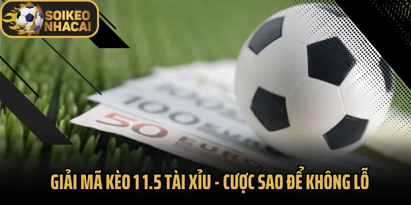 Giải Mã Kèo 1 1.5 Tài Xỉu – Cược Sao Để Không Lỗ