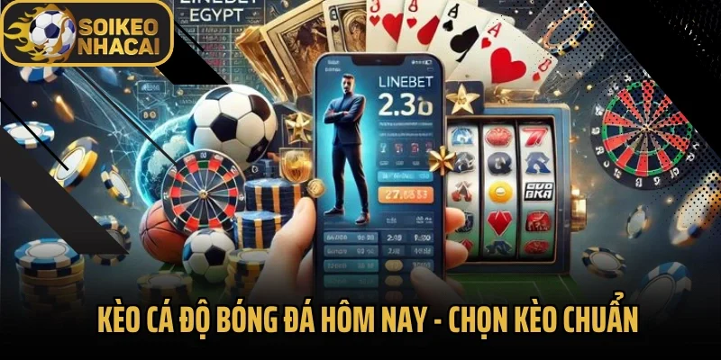 Kèo Cá Độ Bóng Đá Hôm Nay – Chọn Kèo Chuẩn, Ăn Tiền Nhanh