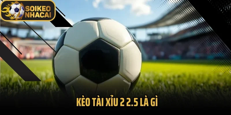 Kèo Tài Xỉu 2 2.5 Là Gì – Chơi Đúng Cách, Tránh Mất Tiền Oan