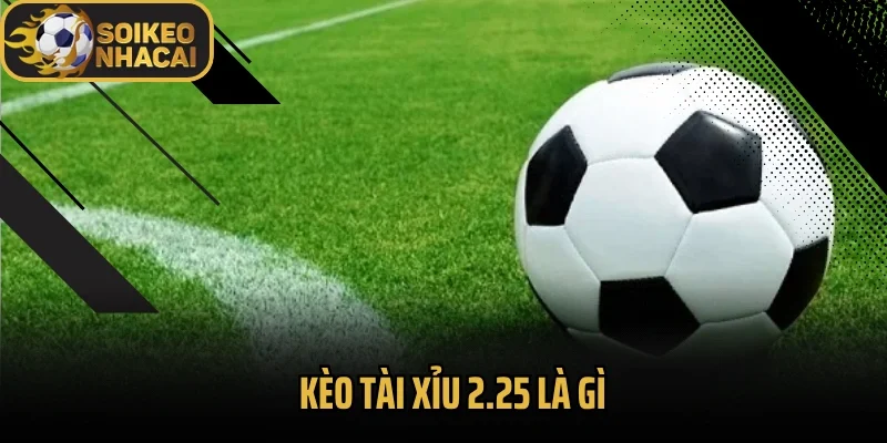 Kèo Tài Xỉu 2.25 Là Gì? Mẹo Cược Chắc Tay Từ Dân Chuyên