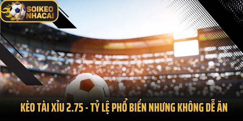 Kèo Tài Xỉu 2.75 – Tỷ Lệ Phổ Biến Nhưng Không Dễ Ăn