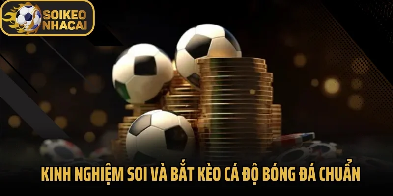 Kinh nghiệm soi và bắt kèo cá độ bóng đá chuẩn