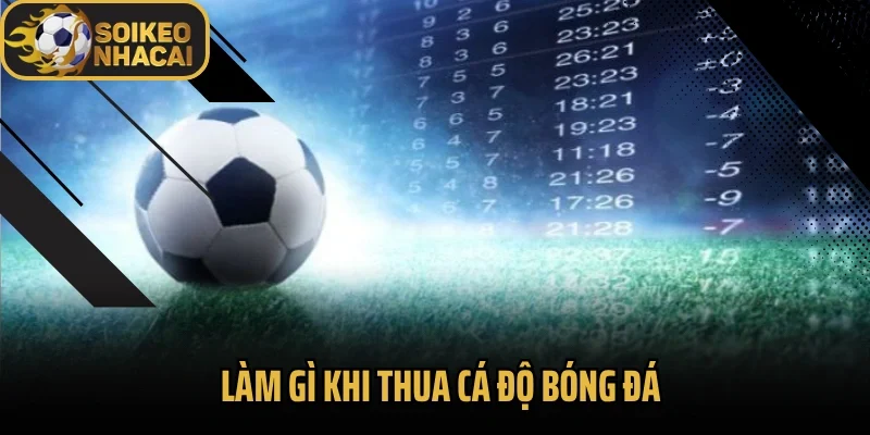 Làm Gì Khi Thua Cá Độ Bóng Đá