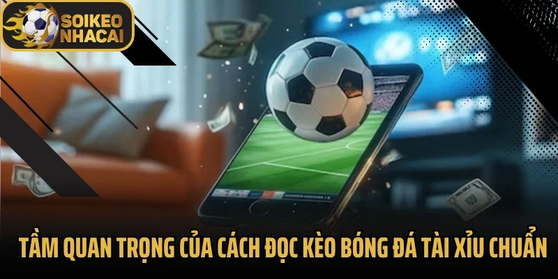 Tầm quan trọng của cách đọc kèo bóng đá tài xỉu chuẩn