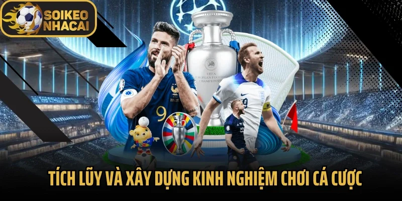 Tích lũy và xây dựng kinh nghiệm chơi cá cược