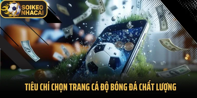 Tiêu chí chọn trang cá độ bóng đá chất lượng