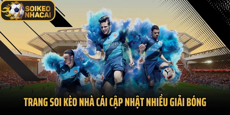 Trang soi kèo nhà cái cập nhật nhiều giải bóng