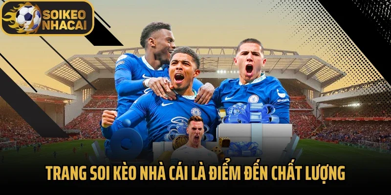 Trang soi kèo nhà cái là điểm đến chất lượng