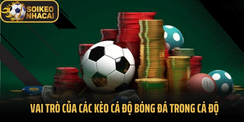 Vai trò của các kèo cá độ bóng đá trong cá độ