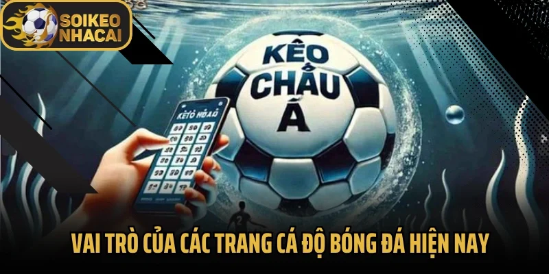 Vai trò của các trang cá độ bóng đá hiện nay