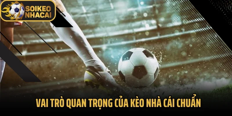 Vai trò quan trọng của kèo nhà cái chuẩn